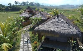 Bali Tiger Hideaway
